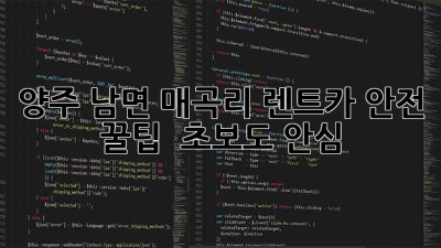 양주 남면 매곡리 렌트카 안전 꿀팁! 🚗💨 초보도 안심!