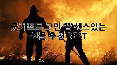 🎁 굿기프트 고민 끝! 센스있는 선물 추천 BEST 🎁